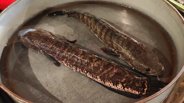 University Law Insurance Donate | Car For Tax Credit | Life Insurance | Insurance | Part 53