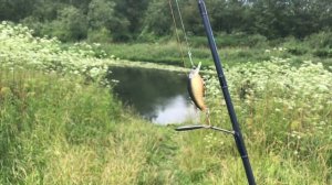 Малые реки Подмосковья - Нара (Новоселки) v 1.0. Тест вейдерсов Huntlandia