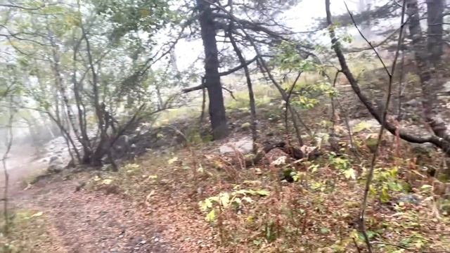 Цейский ледник, который можно потрогать. / Пеший маршрут. / Кавказ, Северная Осетия. смотреть онлайн