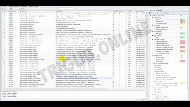 Аудит интернет-магазина спортивного питания. Анализ сайта на ошибки. Пример аудита сайта. смотреть онлайн