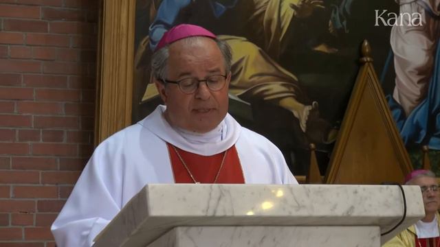 Проповедь Апостольского нунция в Российской Федерации Архиепископа Ивана Юрковича смотреть онлайн