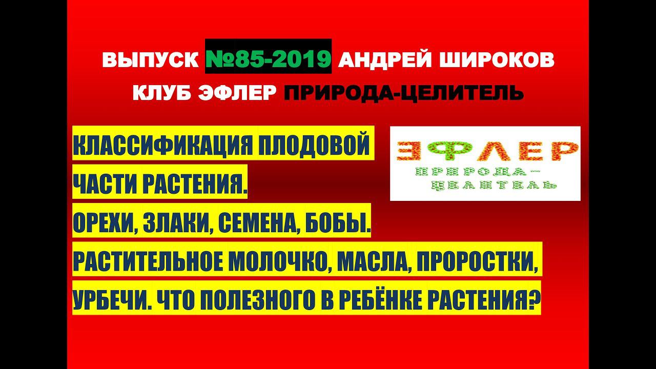 85. ДИТЯ БЕРЕМЕННОГО РАСТЕНИЯ. ПЛОД. КЛАССИФИКАЦИЯ. ЦЕННОСТЬ. ВСЁ ЛИ В РЕБЁНОЧКЕ ПОЛЕЗНО ДЛЯ НАС? смотреть онлайн