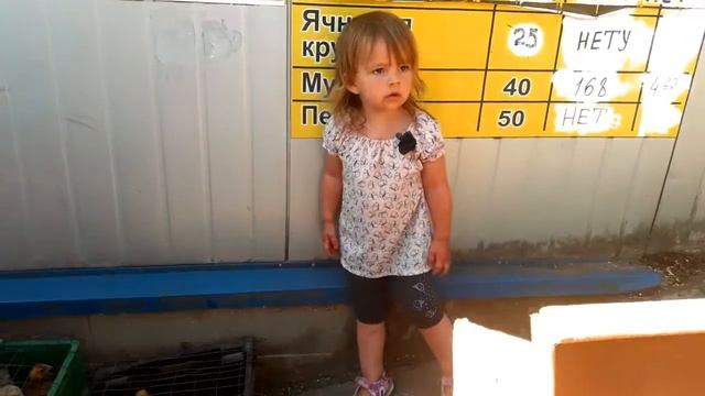 Как выбрать и купить цыплят? Вам расскажет Алена! Дачные питомцы смотреть онлайн