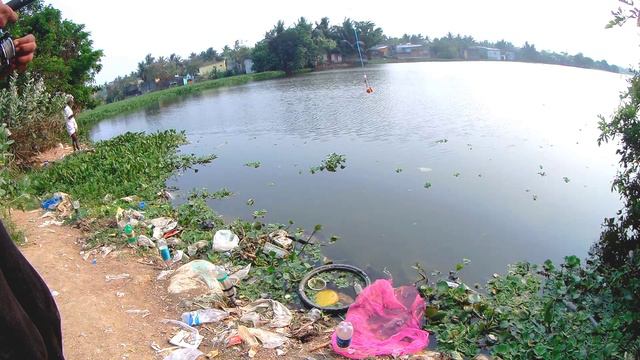 Mini carp feeder setup & five hook carp fishing setup Testing video | #fishingresult #carpfishing смотреть онлайн