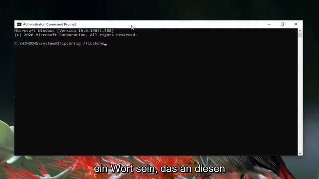 So beheben Sie den 403-Fehler in Google Chrome смотреть онлайн