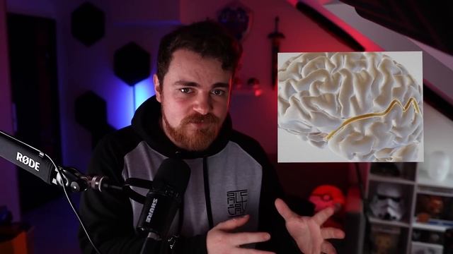 Prečo sa radi bojíme смотреть онлайн