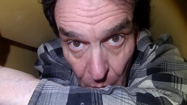 Who's Your Donkey? смотреть онлайн