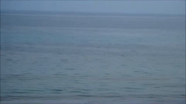 dolphins to evanescence (fallen) смотреть онлайн