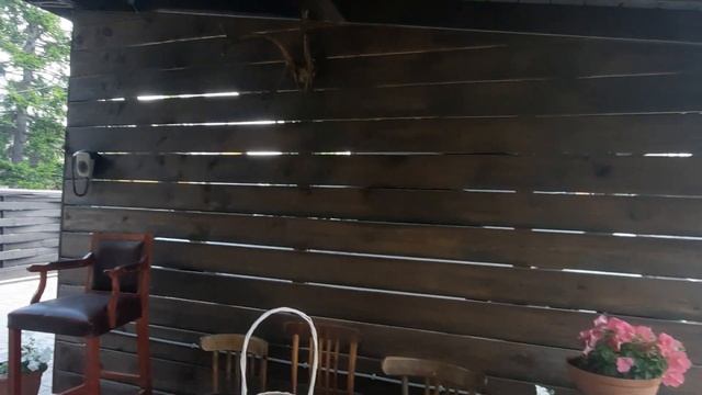 Высадила петунию в кашпо. Начинаю наводить красоту на дачном участке смотреть онлайн