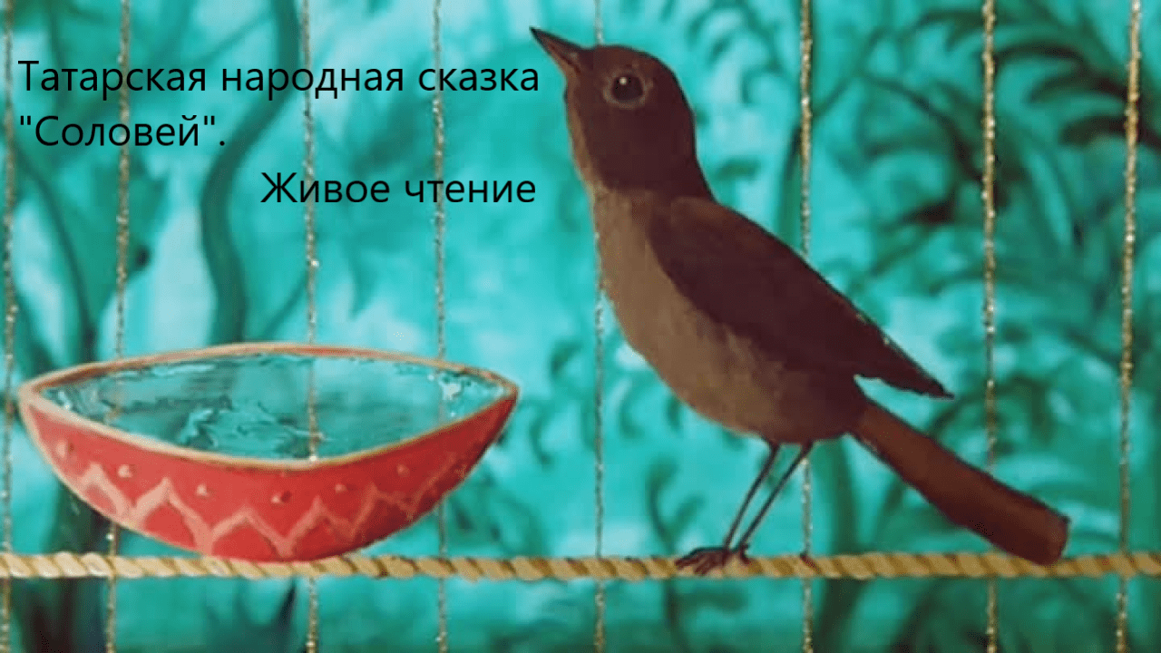 Татарская народная сказка "Соловей". Живое чтение смотреть онлайн