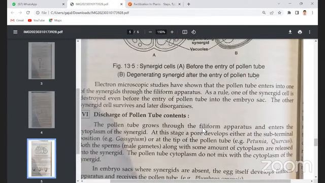 M.Sc BOTANY 2nd YEAR Course - 6 : Medicinal Plants And Embryology Of Angiosperms
