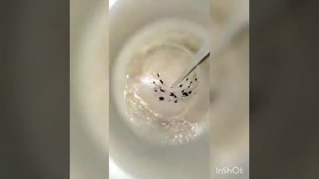 Губка из нержавеющей стали смотреть онлайн