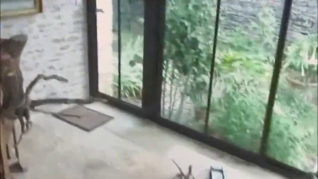 La Vérité Sur Les OGM Et Pesticides