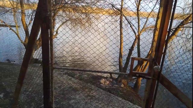 Утки приплыли с друзьями. Как понять, где мои утки? 17 марта 22г. смотреть онлайн
