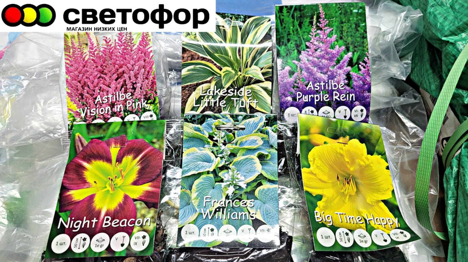 ?В СВЕТОФОР привезли КОРНИ, дорожки и другие НОВИНКИ март 2023?Бытовая химия WONDER LAB смотреть онлайн