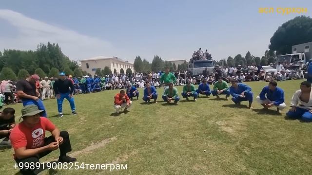 СУРХОНДАРЕ ДЕНОВДА КАТТА КУРАШ 20.05.2023 смотреть онлайн