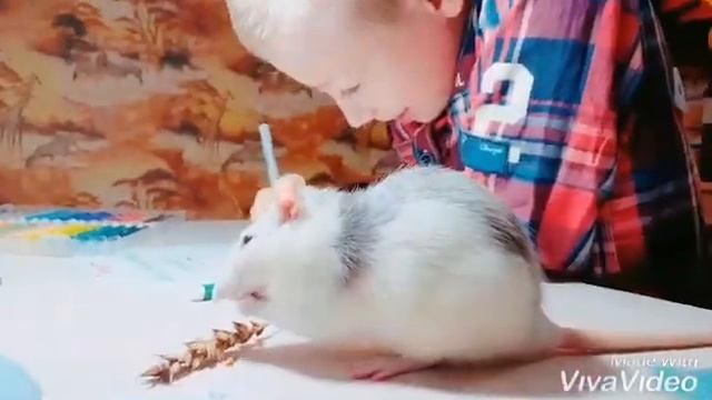 Секреты Творческой Профессиональности