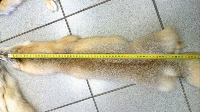 Шкурки корсака выделанные смотреть онлайн