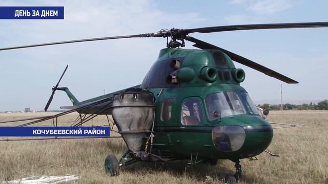 Борьба с вредителем.mp4 смотреть онлайн