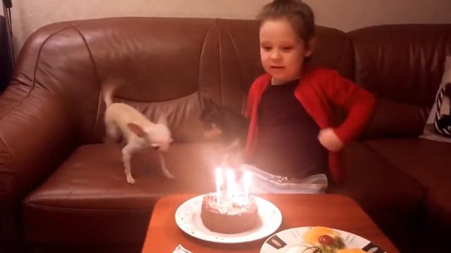 День рождения Игруши. Happy birthday. Наша взрослая собака. Милана поздравляет.Праздник для питомца смотреть онлайн