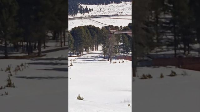 6 апреля 2023 г.(2) смотреть онлайн