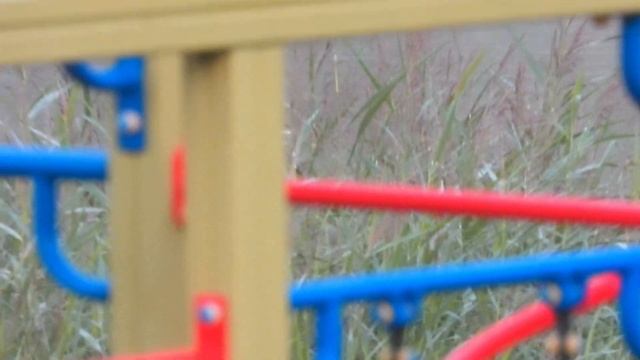 Туман над водой, утки на воде и Луна в небе на рассвете (в 5.00) на Лесном в воскресенье 29/08/2021 смотреть онлайн