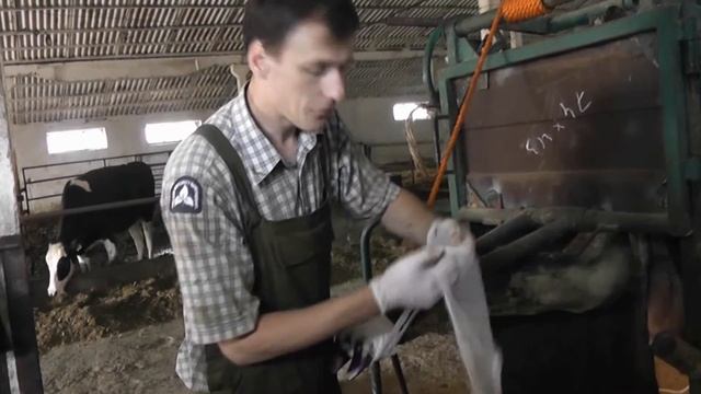 Цефтиоклин, кетопрофен и мазь necrol против некробактериоза копыт. смотреть онлайн
