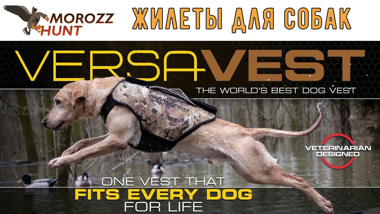 Жилеты для собак Avery и Momarsh VERSA VEST обзор.