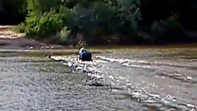 Плавание на гризли 660 смотреть онлайн