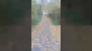 Александр Пичуев РАБОТА НА ПОГОСТЕ! #МАГЕКАТЕРИНБУРГ