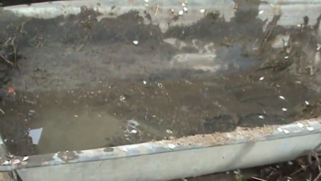 УДОБРЕНИЕ ОТ КОТОРОГО ВСЕ РАСТЕТ КАК НА ДРОЖЖАХ смотреть онлайн