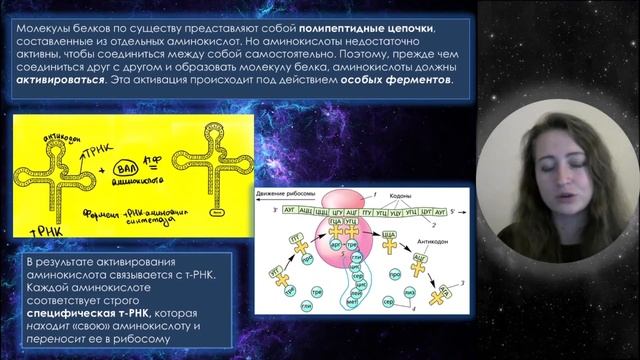 Урок 15. Репликация, транскрипция и трансляция. Реакции матричного синтеза с примерами заданий. смотреть онлайн