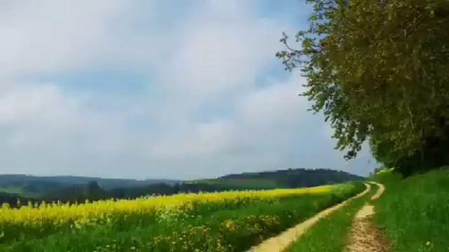 Мать зашла на кухню и скорбно произнесла: - Остались мы с тобой, как осколки, одни. Истории из жизн смотреть онлайн