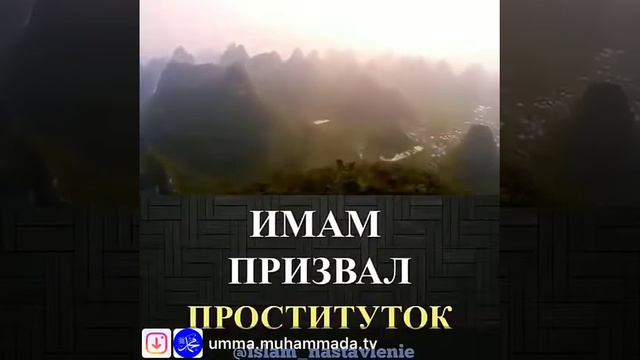 Про публичный дом смотреть онлайн