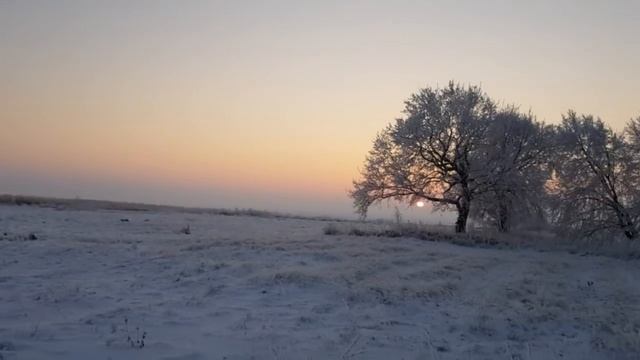 Зимняя прогулка.С праздником! смотреть онлайн