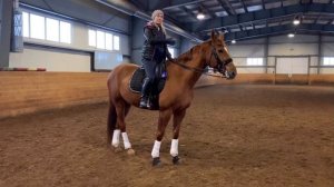 ЛОШАДЬ КОЗЛИТ! КАК УСИДЕТЬ?