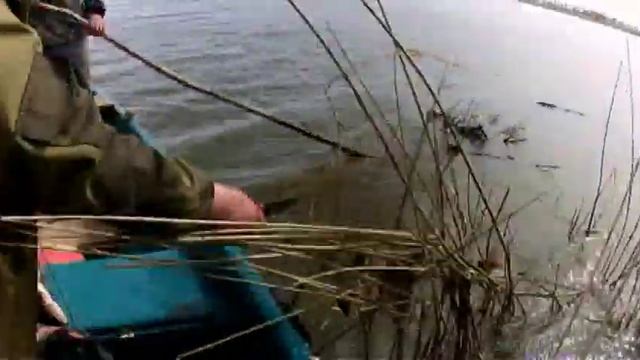 браконьеры на рыбалке смотреть онлайн