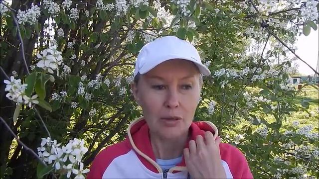 Во сколько начинать процедуру очищения. Бая Че Доктор Натуропатии смотреть онлайн