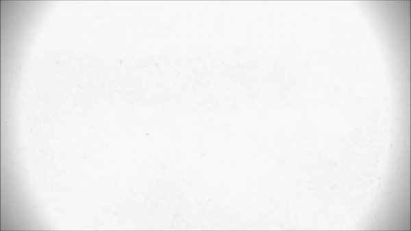 【BSG】Inokori Sensei (rus cover) [AI]