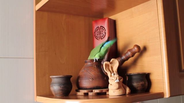 Говорящий неразлучник. смотреть онлайн