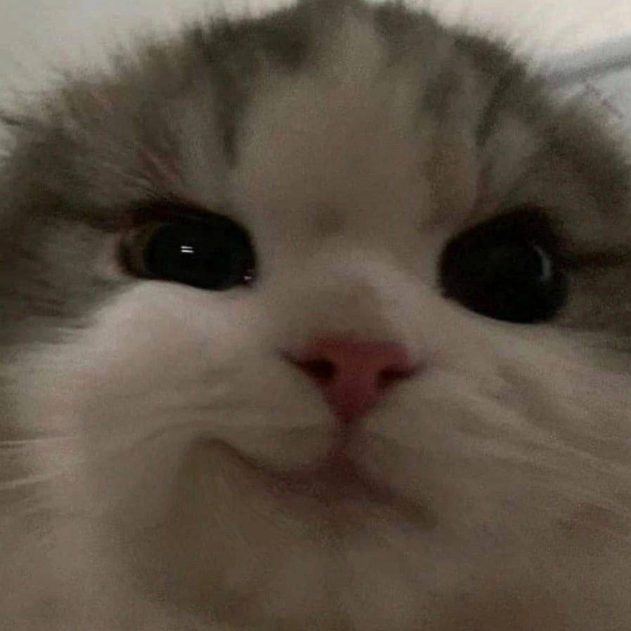 Far cry 3 смотреть онлайн