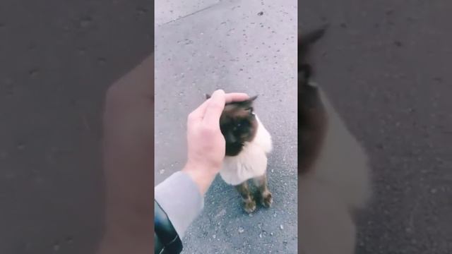 Пятницы больше нет😔. Готовлюсь к зиме. смотреть онлайн