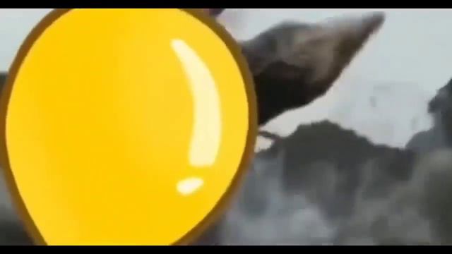 Shitpost status V43 | shitpost compilation - shitpost derleme смотреть онлайн