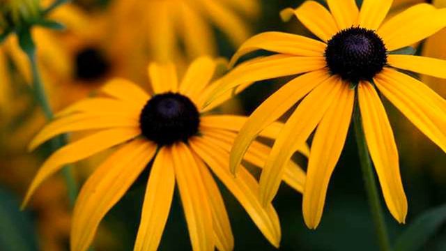 ilmoe.com 32. Bab Ilaa, Zhihar Dan Liaan Kitab Iddah, Istibra,dll Dzul смотреть онлайн