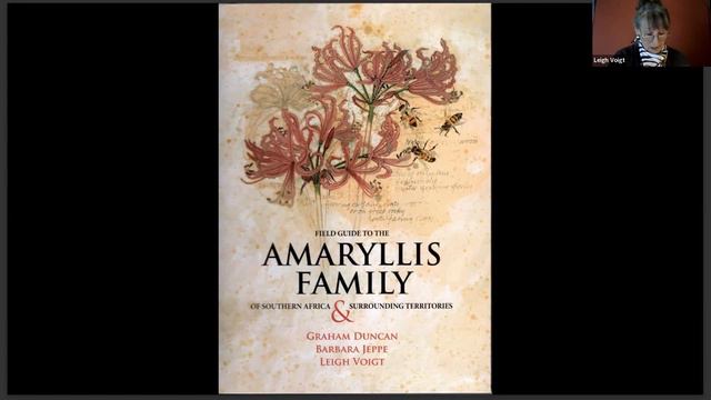 The Field Guide to the Amaryllis & The Amaryllidaceae смотреть онлайн