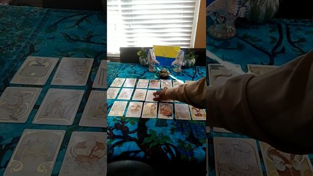 ?The Karmic Wants To Settle Down?, December 30, 2019, Daily Tarot смотреть онлайн