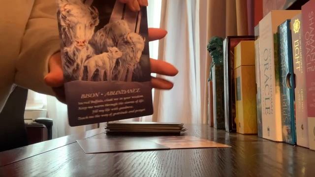 Today’s tarot is from my Spirit of the Animals Oracle deck ?? смотреть онлайн
