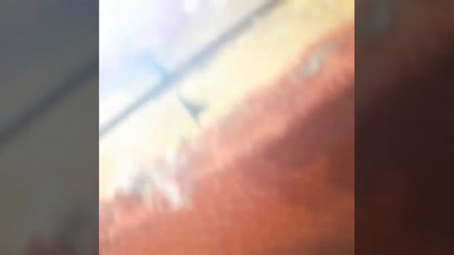 Гнездо клопов в кресле - дезинсекция от ДЕЗ-Спасатель смотреть онлайн