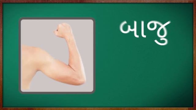 Sharir Na Ango Na Naam | શરીરના અંગોના નામ | Body Parts Name | Body Parts Name in Gujarati & Englis смотреть онлайн