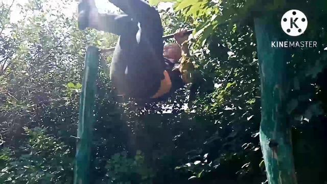 Комплекс 15 выходов силы 15 подьемов с переворотом смотреть онлайн